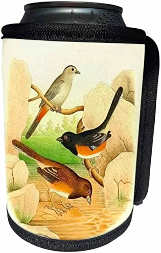 3dRose Винтажное bird ' s изкуство Сива птица-котка и Източна Тегли. - Опаковки за бутилки-охладители (cc-364651-1)