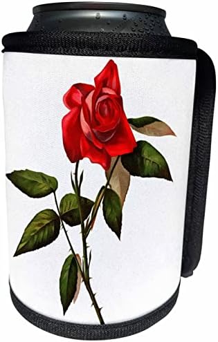 3dRose Художествена Червена Роза на едно стъбло - Опаковки за бутилки - охладител (cc_355328_1)