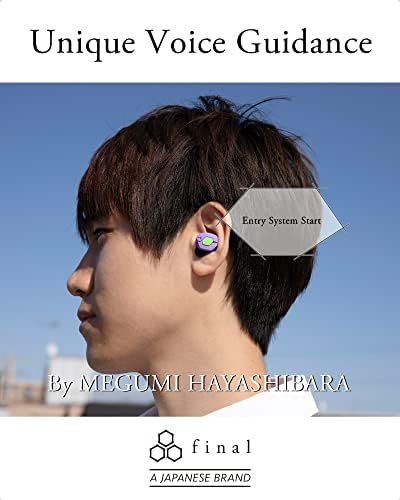 Final Audio Настоящите безжични слушалки в ушите Bluetooth с калъф за зареждане. Слушалки с вграден микрофон и докосване високоговорител
